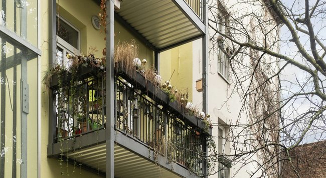 Wohnung | Rheinsberger Straße | Berlin | AUEN Immobilien
